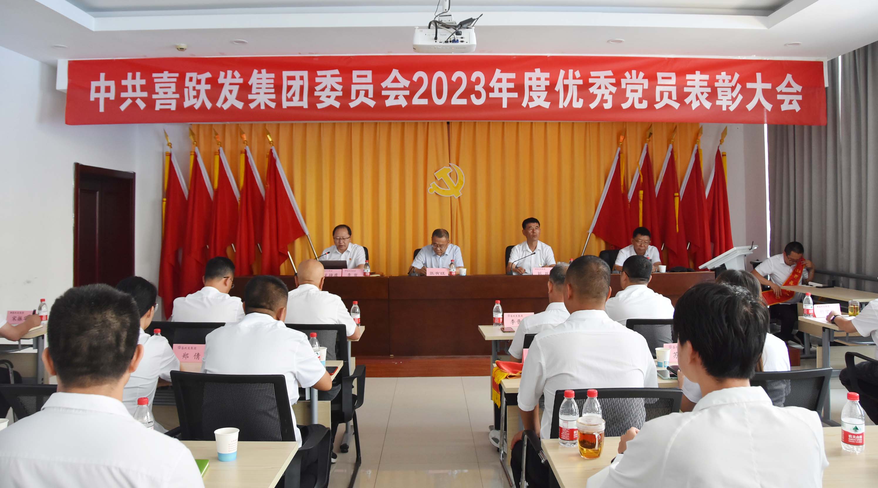 集團黨委隆重召開優(yōu)秀黨員表彰大會(圖1)