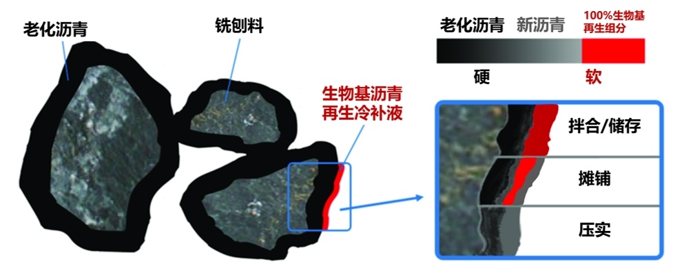 微信截圖_20240618153916_看圖王.png