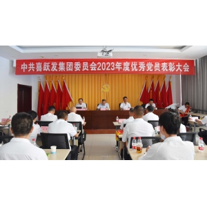 集團黨委隆重召開優秀黨員表彰大會